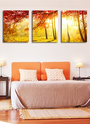 Split canvas prints - 3x(16"x20")